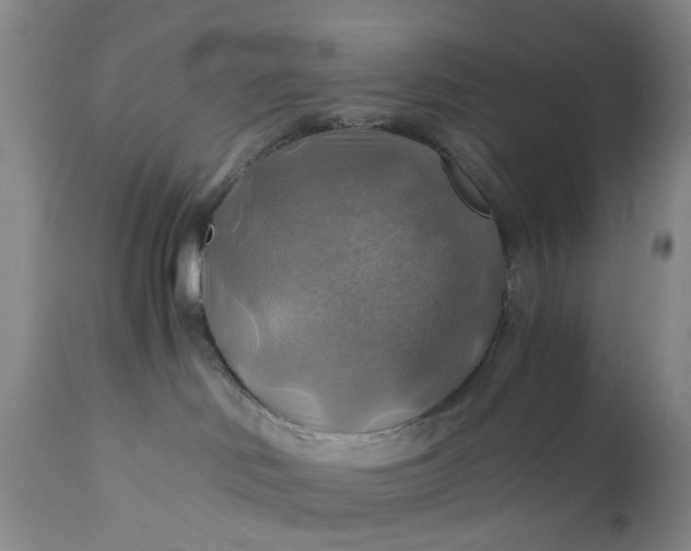 X0000111030046200907091555