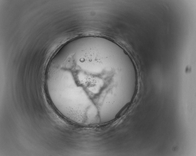 X0000111030049200907091554