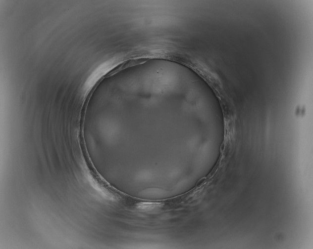 X0000111030051200907091554