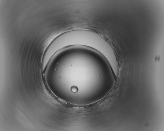 X0000111030052200907091554