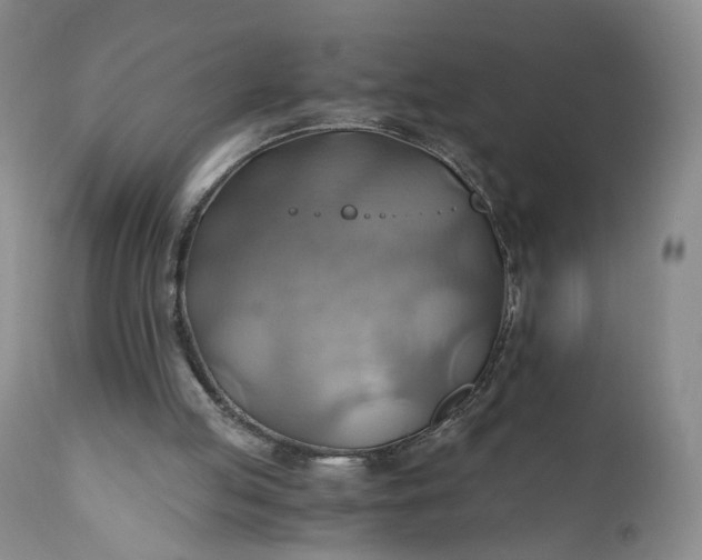 X0000111030053200907091554
