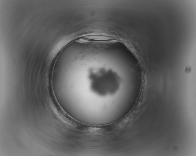 X0000111030055200907091554