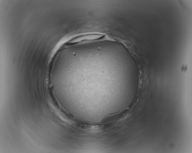 X0000111030056200907091554