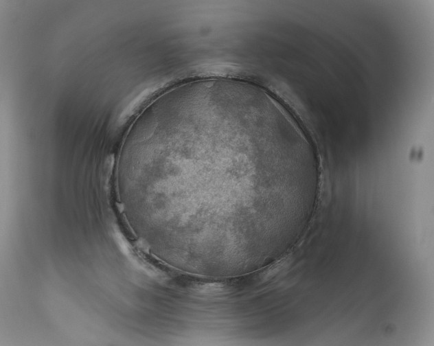 X0000111030058200907091554