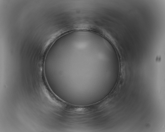 X0000111030059200907091554