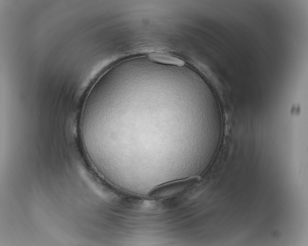 X0000111030060200907091554