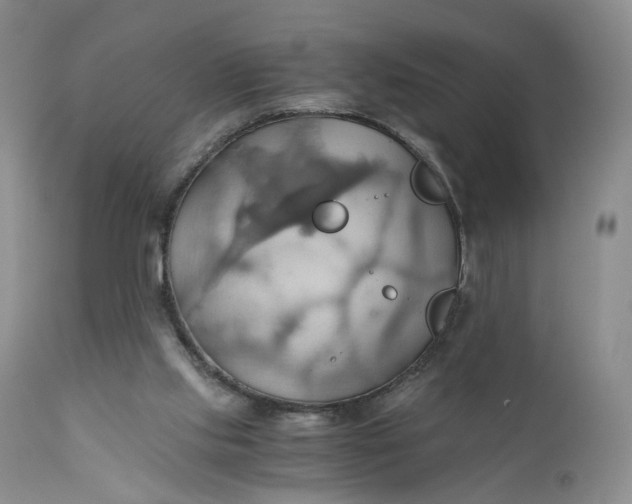 X0000111030061200907091554