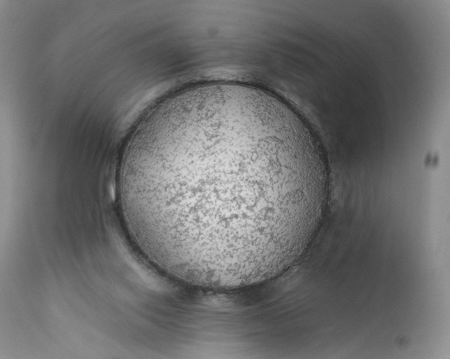 X0000111030062200907091554