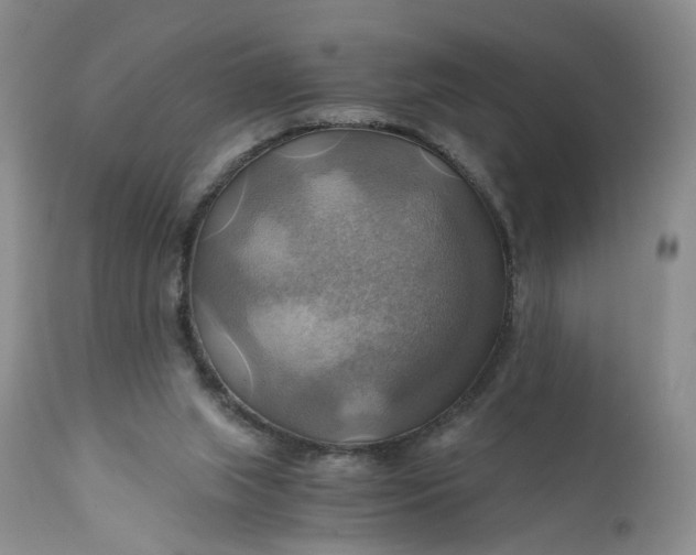 X0000111030063200907091555