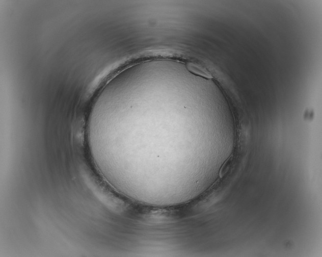 X0000111030064200907091555