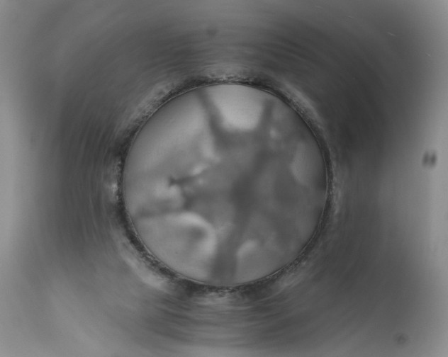 X0000111030065200907091555