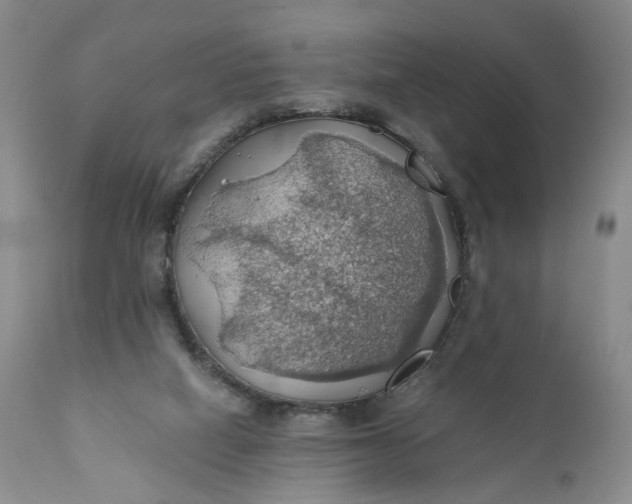 X0000111030066200907091555