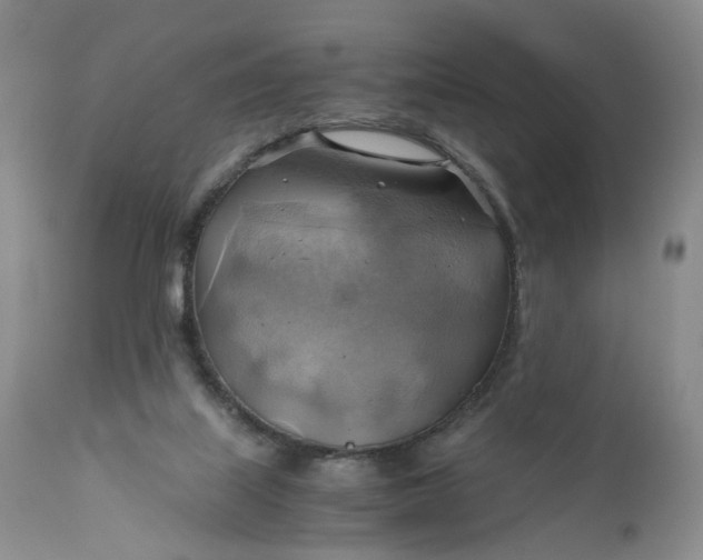 X0000111030067200907091555