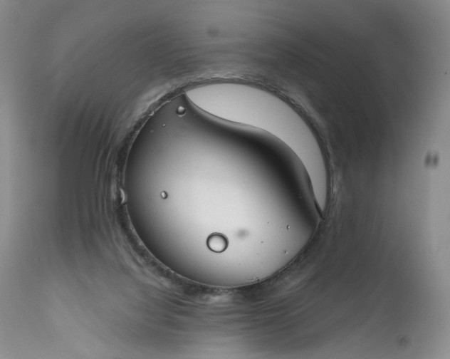 X0000111030068200907091555