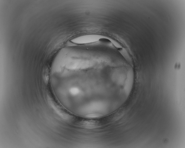 X0000111030069200907091555