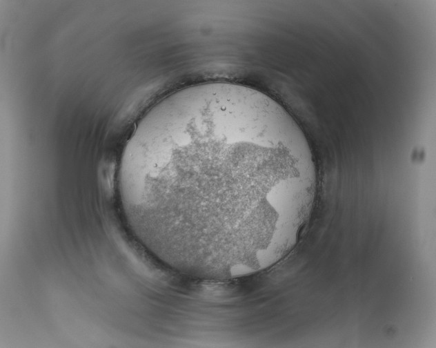 X0000111030070200907091555