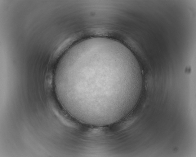 X0000111030072200907091555