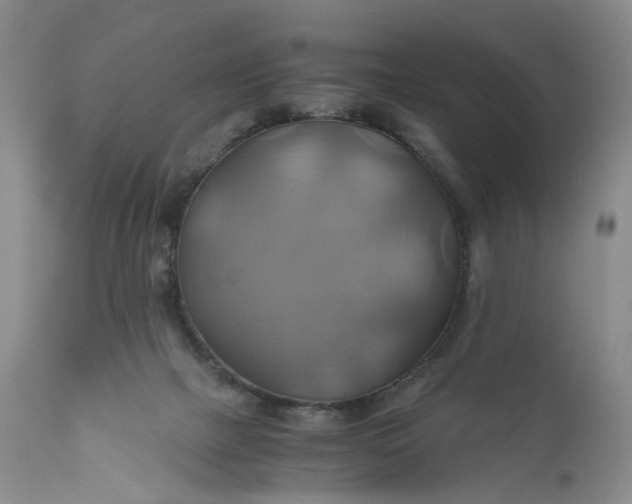 X0000111030073200907091555