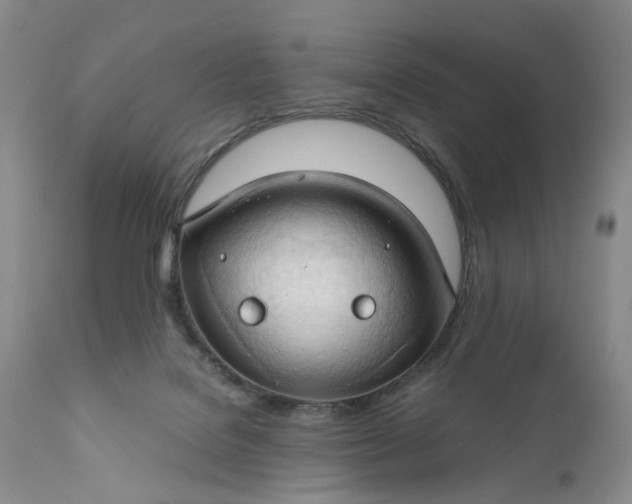 X0000111030076200907091555