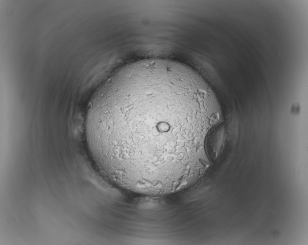 X0000111030077200907091555