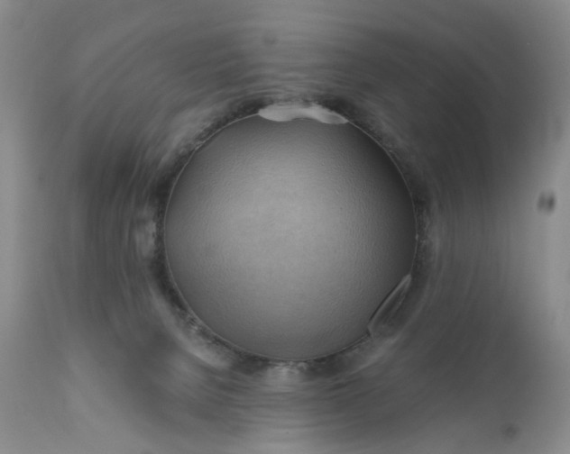 X0000111030080200907091555