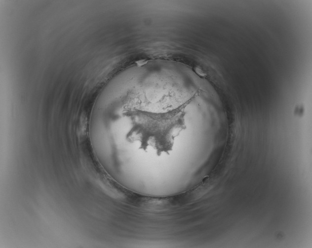 X0000111030081200907091555
