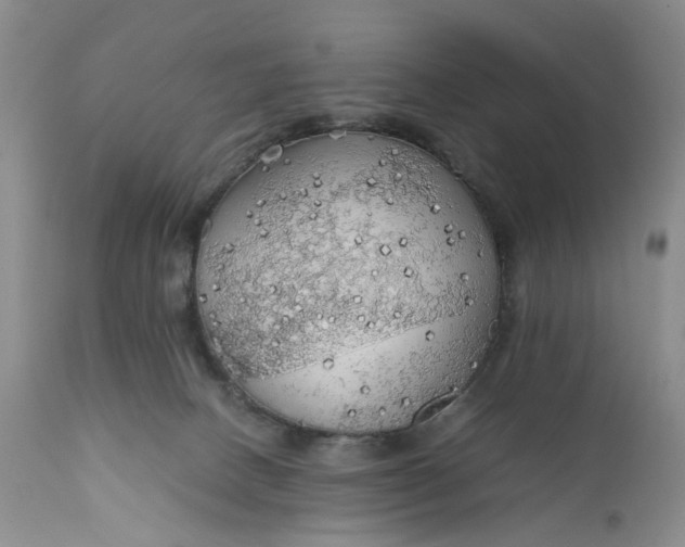 X0000111030082200907091555