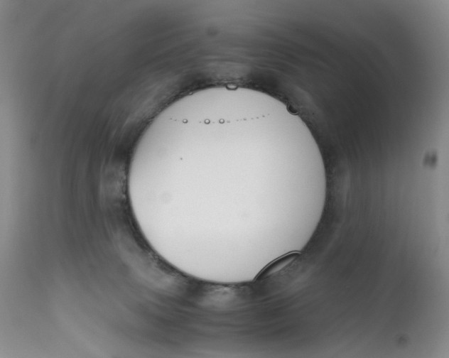X0000111030083200907091555