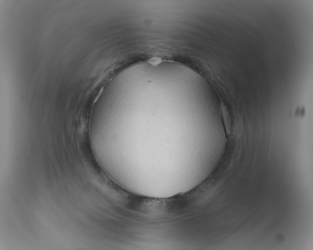 X0000111030084200907091555