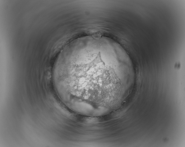 X0000111030085200907091555