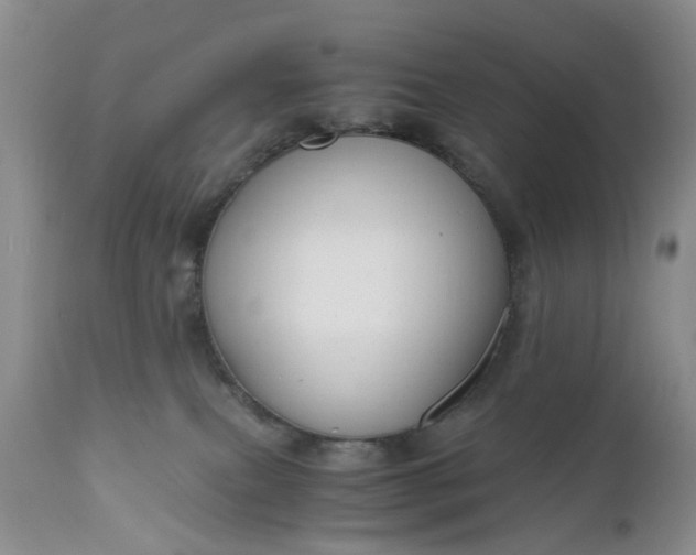 X0000111030087200907091555