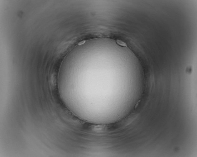 X0000111030088200907091555