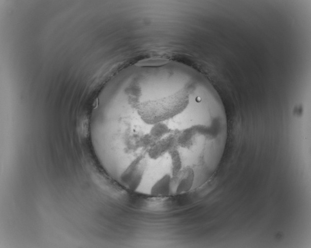 X0000111030090200907091555