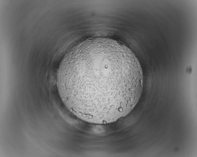 X0000111030091200907091555