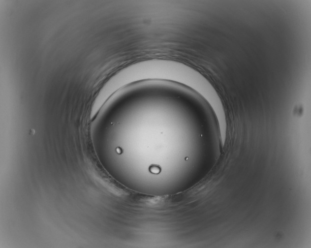 X0000111030092200907091555