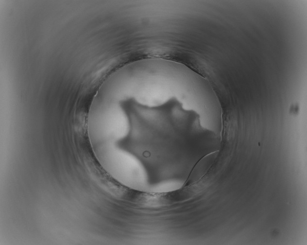 X0000111030093200907091555