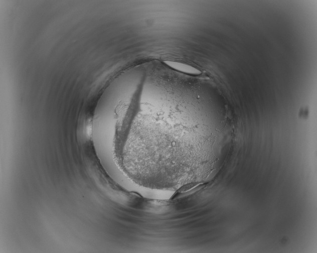 X0000111030095200907091555