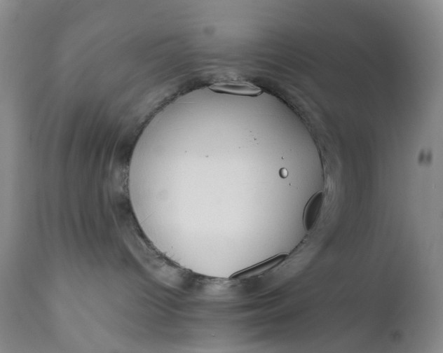 X0000111030096200907091555