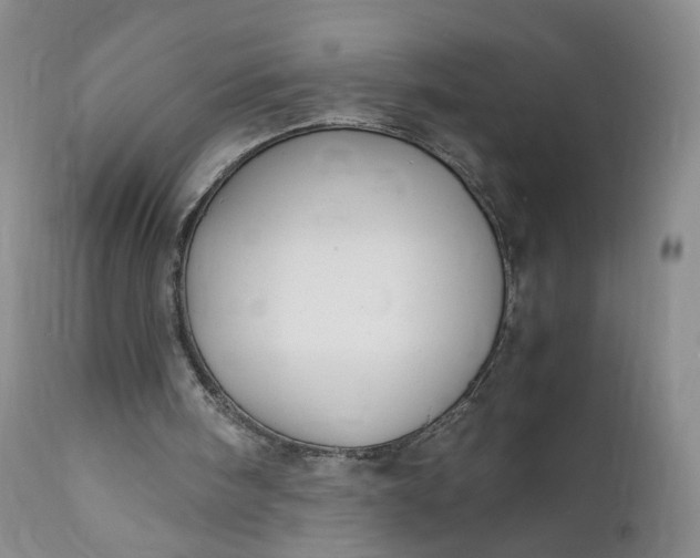 X0000111030098200907091554