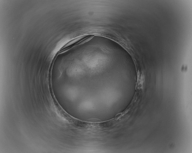 X0000111030099200907091554