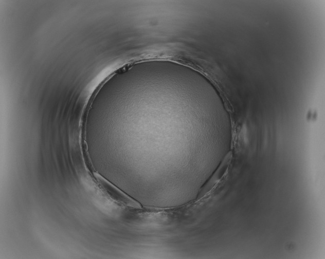 X0000111030100200907091554