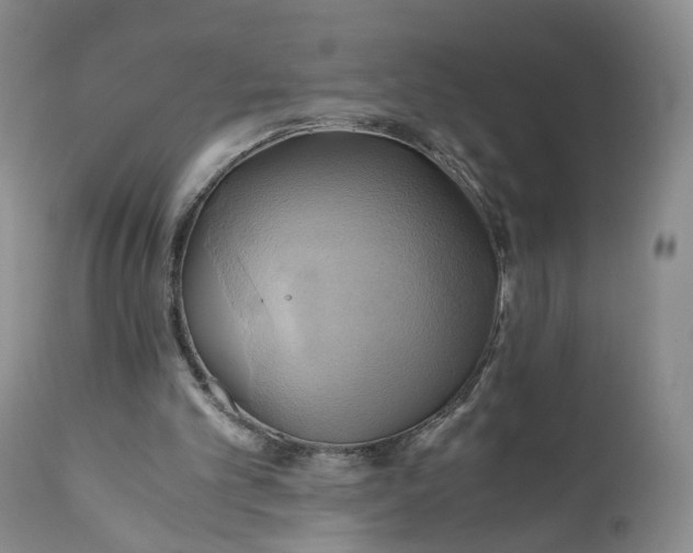 X0000111030101200907091554