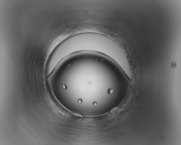 X0000111030104200907091554