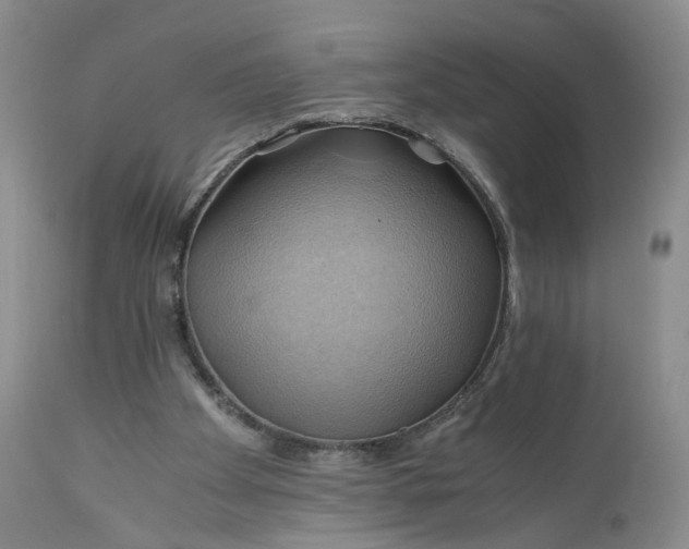 X0000111030105200907091554