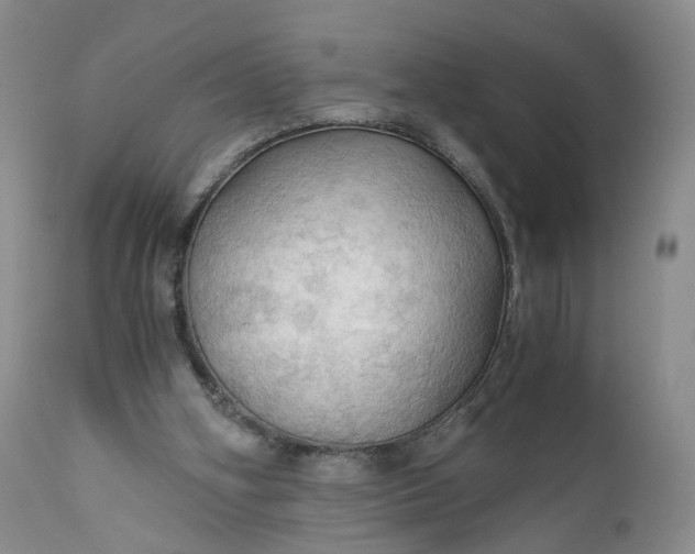 X0000111030106200907091554