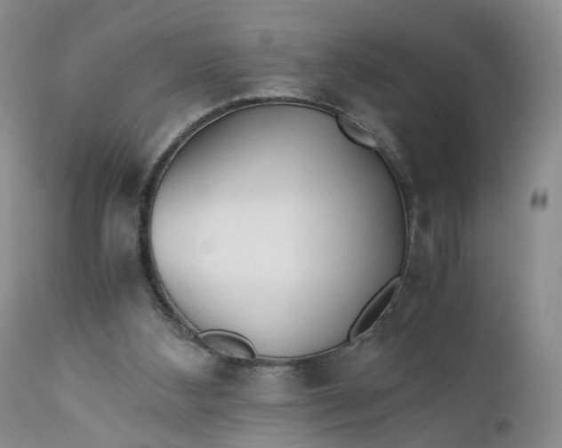 X0000111030108200907091554