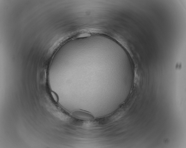 X0000111030109200907091554