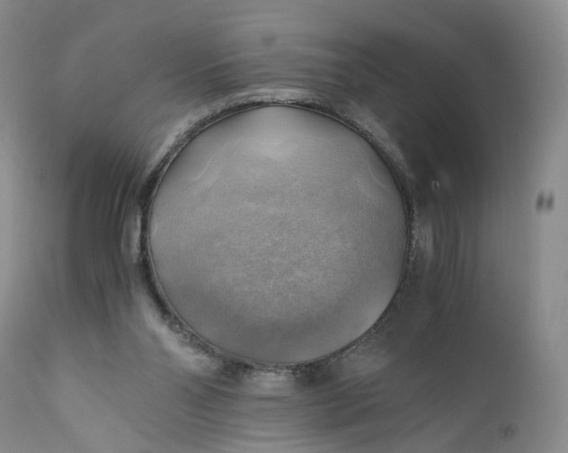 X0000111030110200907091554