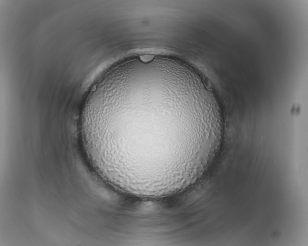 X0000111030111200907091554