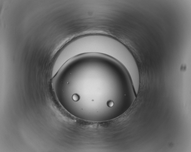 X0000111030112200907091554